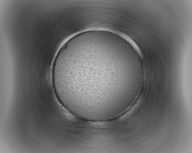 X0000115441004200911121119