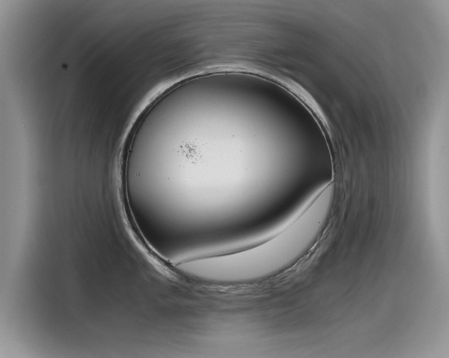 X0000115441005200911121119