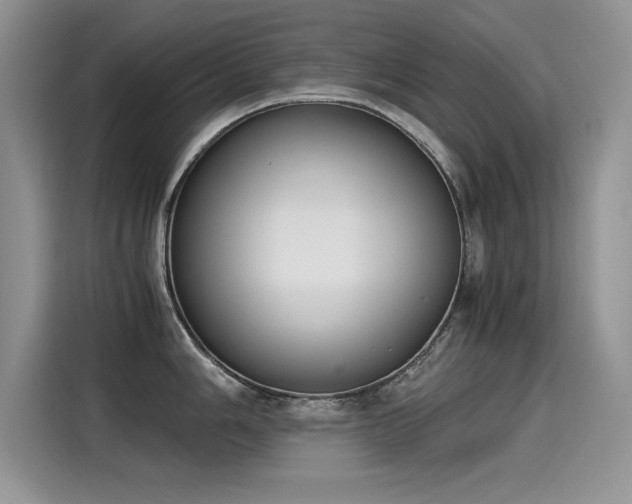 X0000115441006200911121119