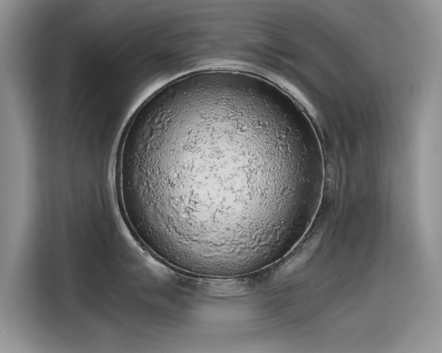 X0000115441007200911121119