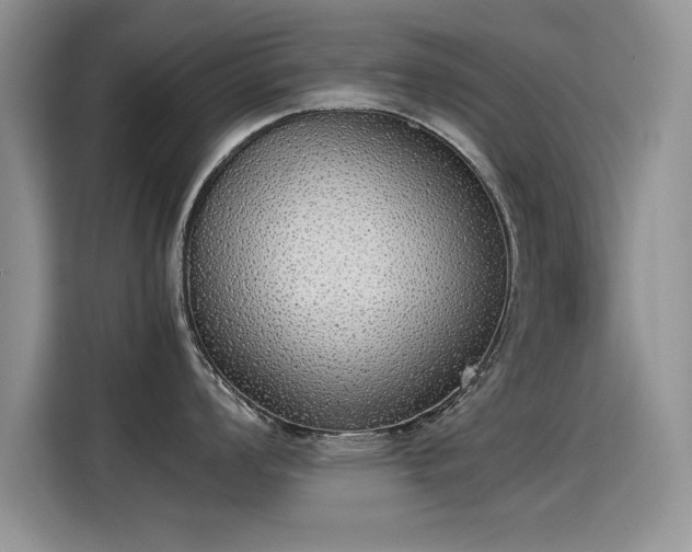 X0000115441008200911121119