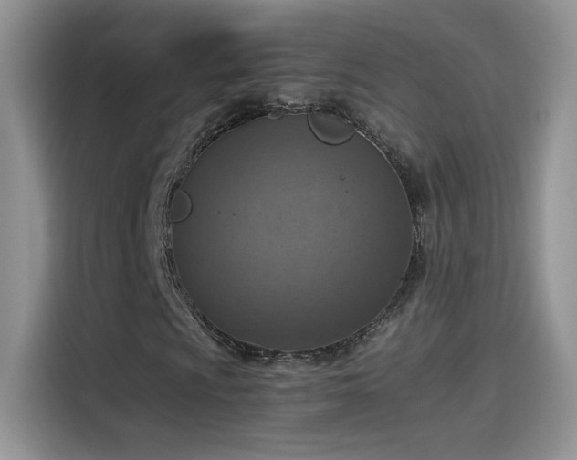 X0000115441009200911121119