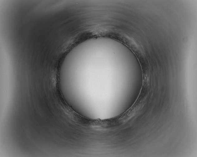 X0000115441012200911121119