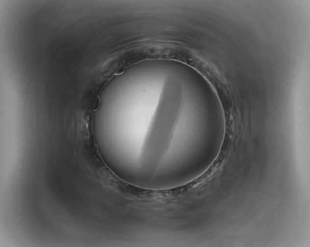 X0000115441013200911121119