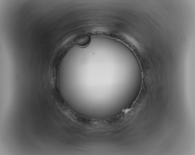 X0000115441015200911121119
