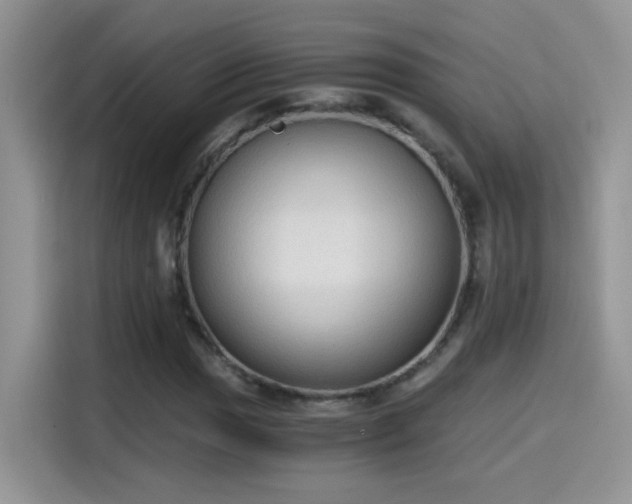 X0000115441017200911121119