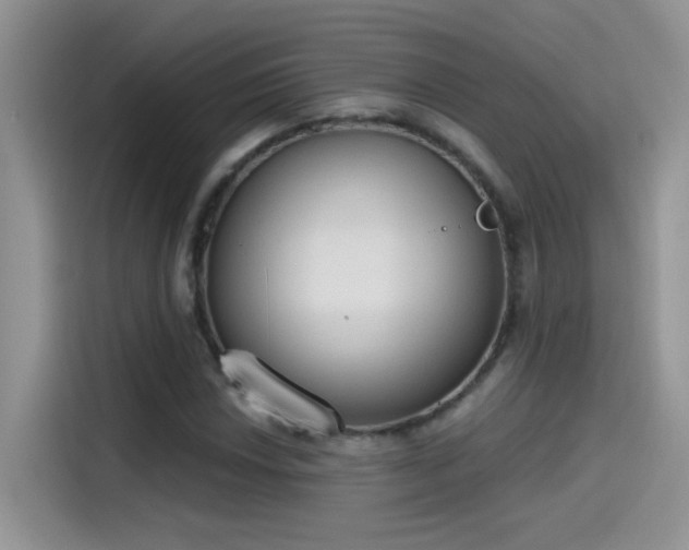 X0000115441018200911121119
