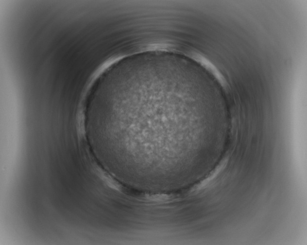 X0000115441019200911121119