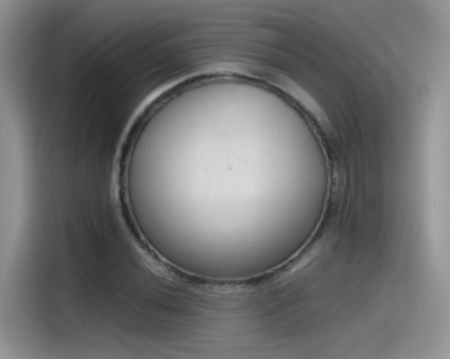 X0000115441020200911121119