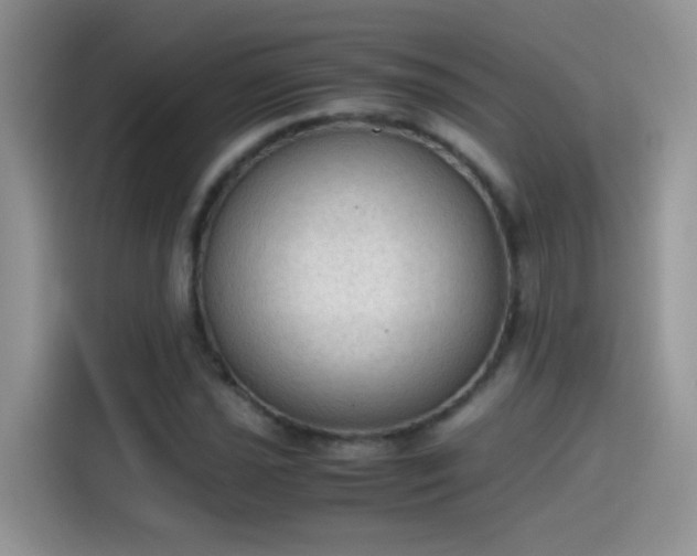X0000115441021200911121119
