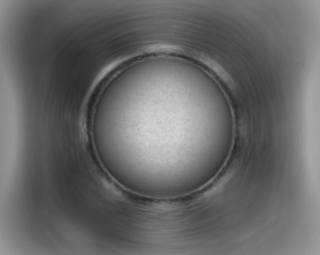 X0000115441022200911121119
