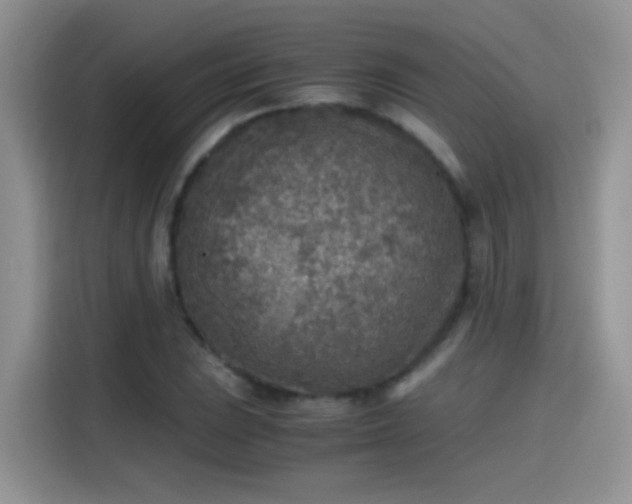 X0000115441023200911121119