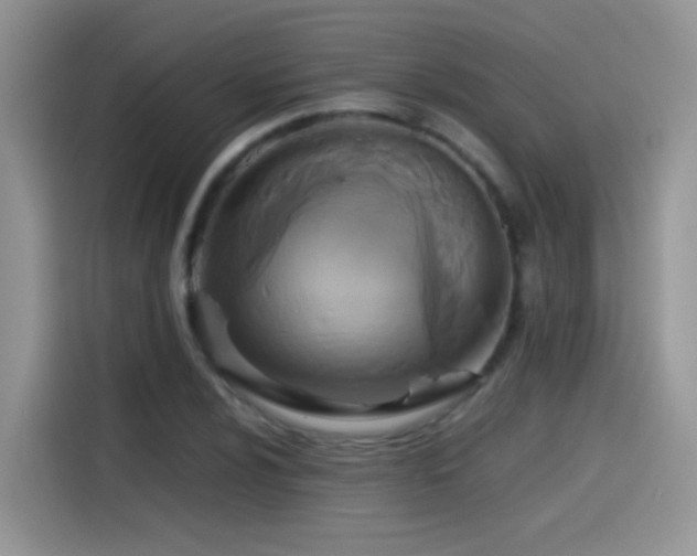X0000115441024200911121119