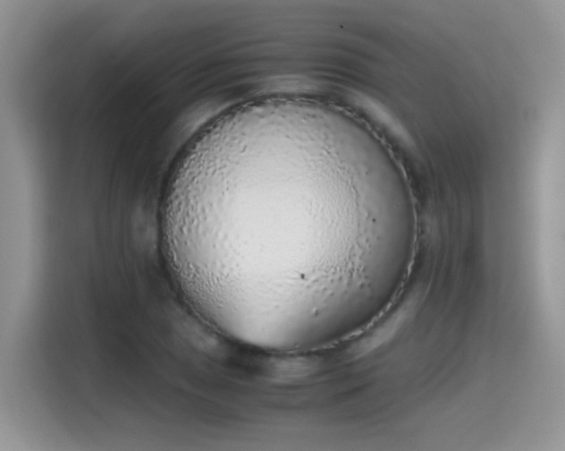 X0000115441025200911121119