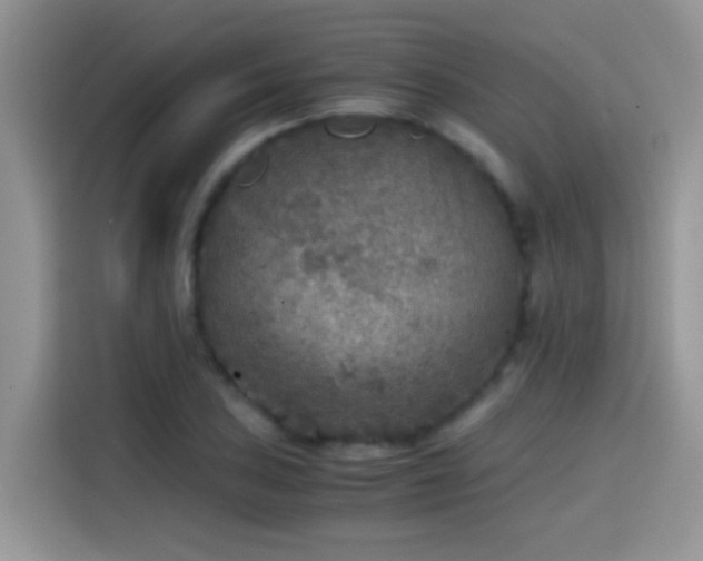 X0000115441027200911121119