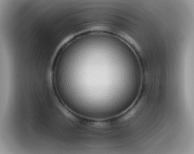 X0000115441029200911121119