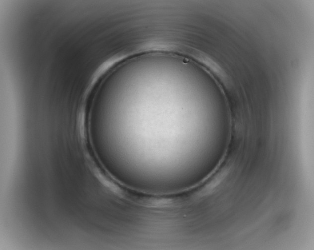 X0000115441030200911121119