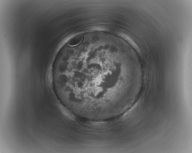 X0000115441031200911121119