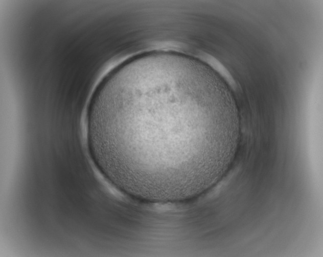 X0000115441032200911121119