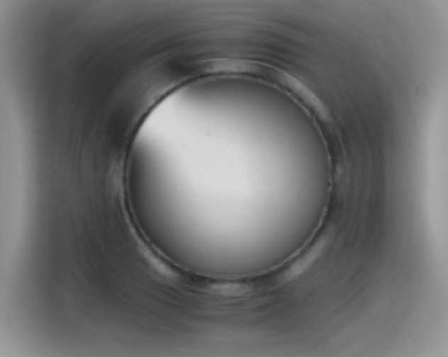 X0000115441033200911121119