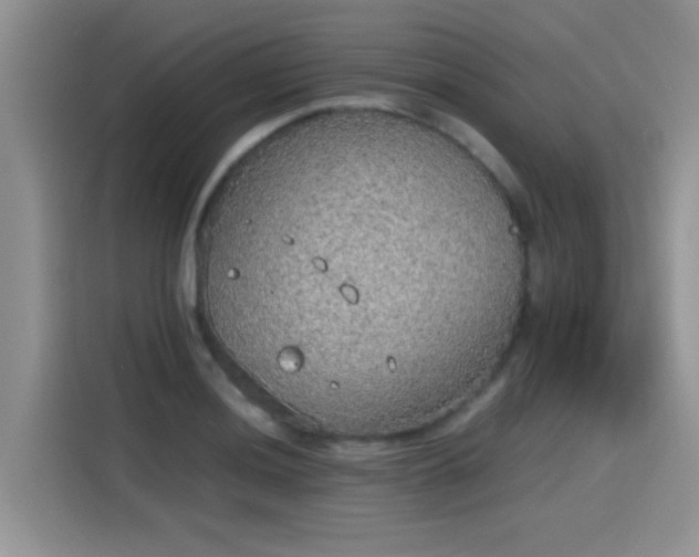 X0000115441036200911121119