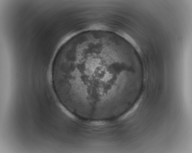 X0000115441037200911121119