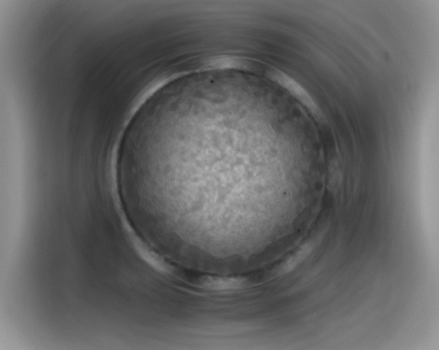 X0000115441039200911121119