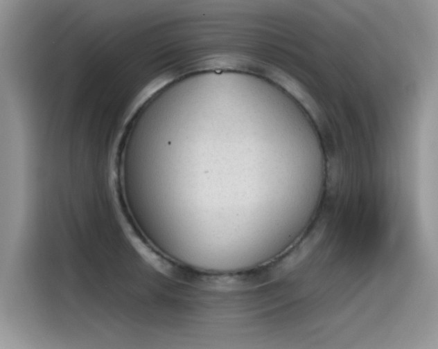 X0000115441042200911121119