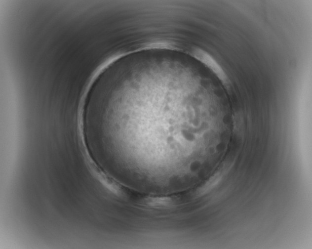 X0000115441043200911121119