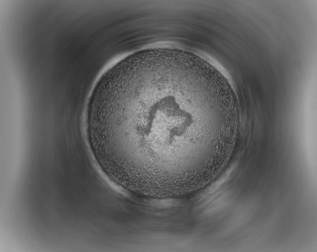 X0000115441045200911121119