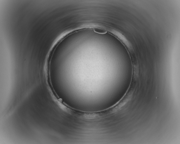 X0000115441046200911121119