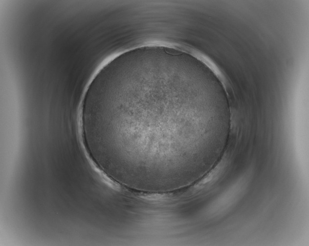 X0000115441048200911121119