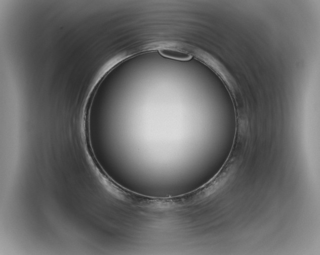 X0000115441050200911121119