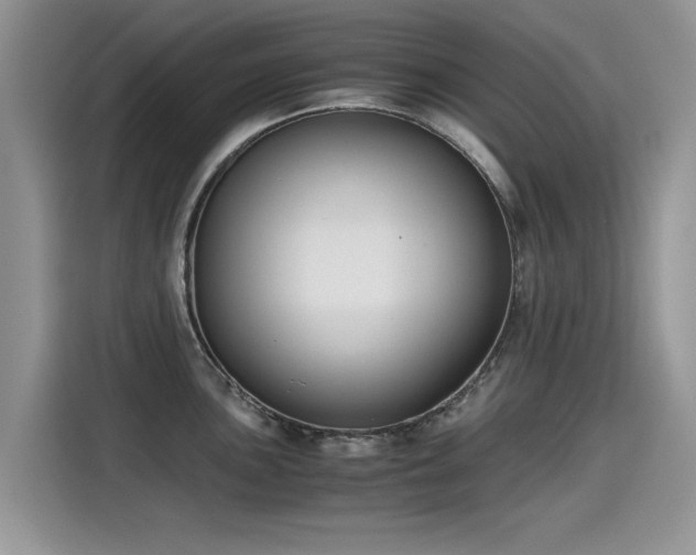 X0000115441051200911121119