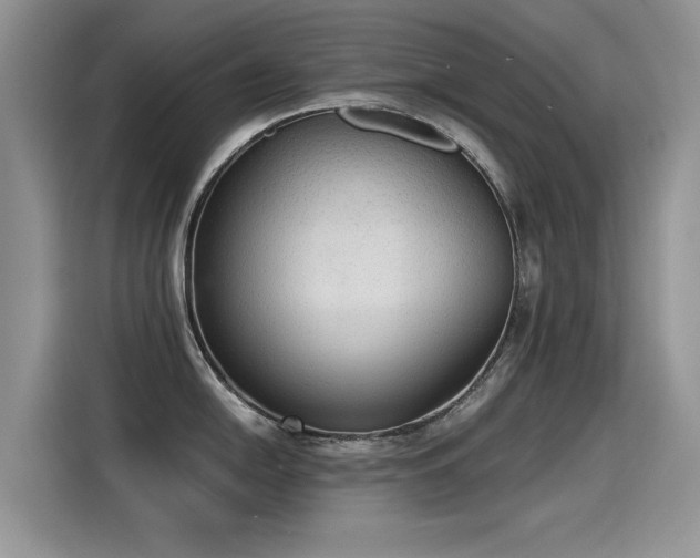 X0000115441054200911121119