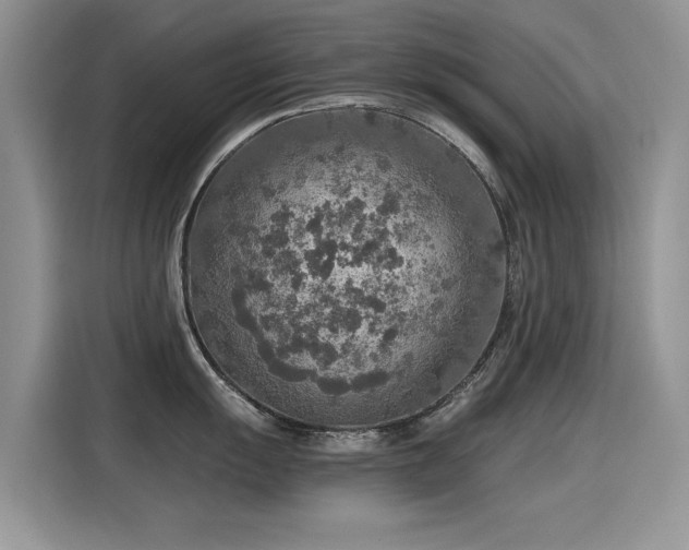 X0000115441055200911121119