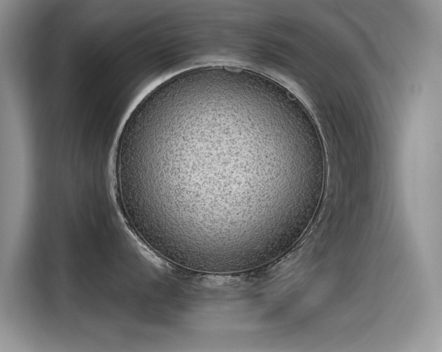 X0000115441056200911121119