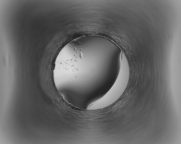 X0000115441057200911121119