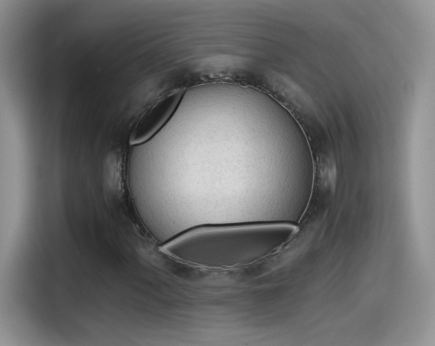 X0000115441060200911121119