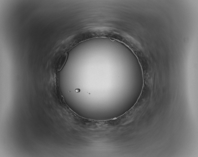 X0000115441061200911121119