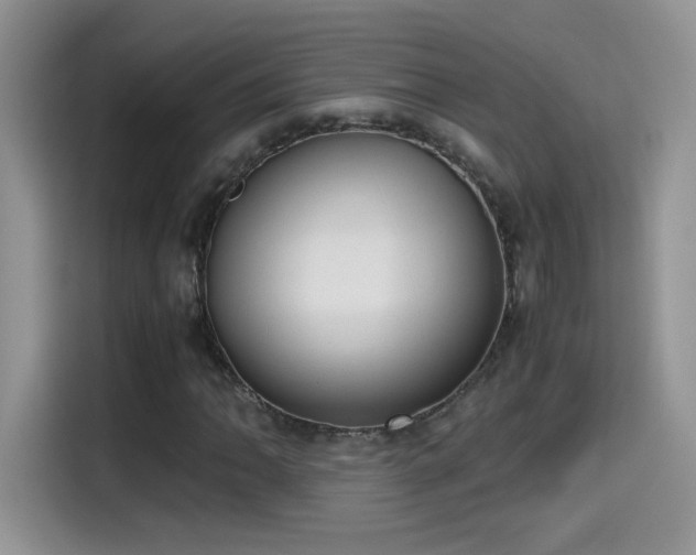 X0000115441062200911121119