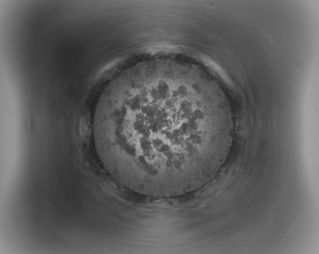 X0000115441063200911121119