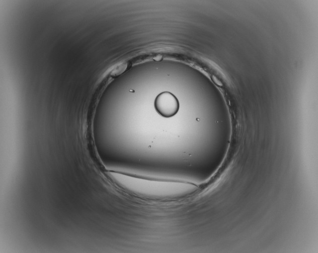 X0000115441065200911121119