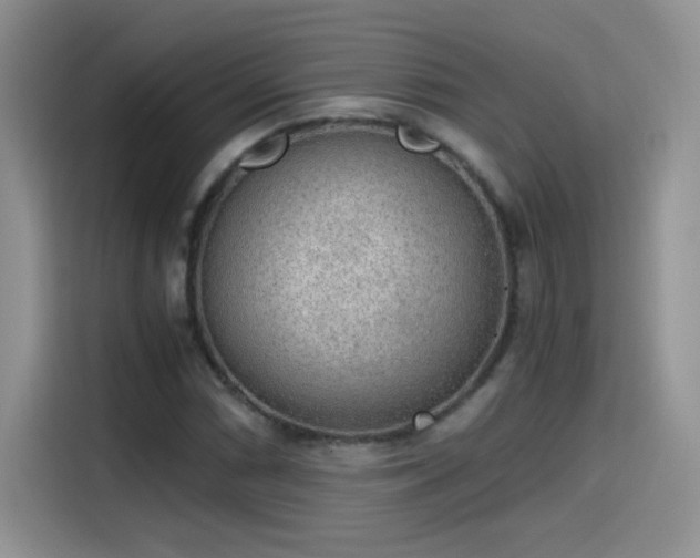 X0000115441066200911121119