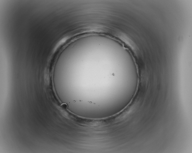 X0000115441067200911121119