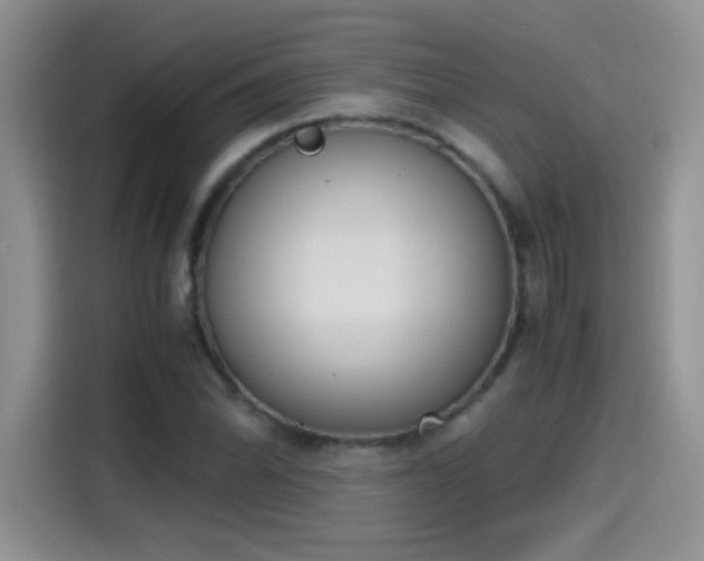 X0000115441070200911121118