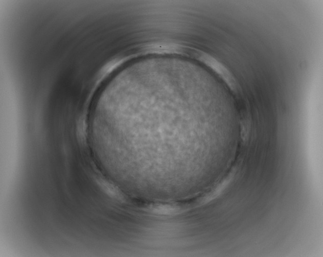 X0000115441074200911121118