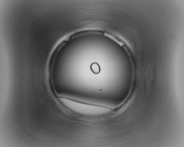 X0000115441077200911121118