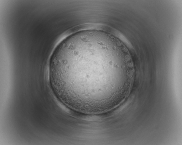 X0000115441079200911121118