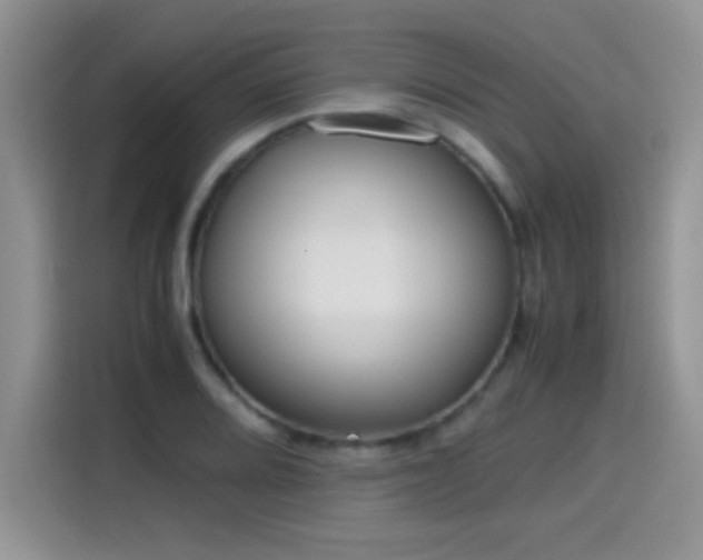 X0000115441080200911121118